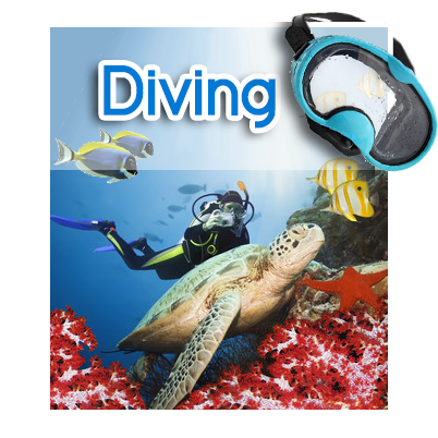 diving14